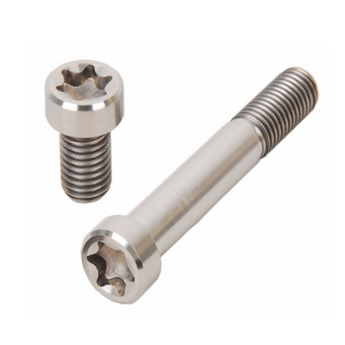 Anodized Titanium Bolt