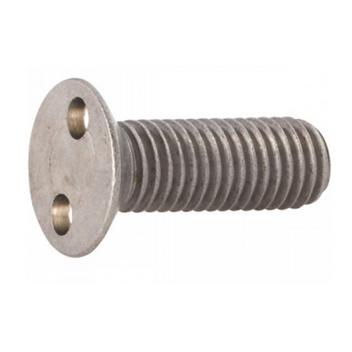 Snake Eye Anti-theft Screw